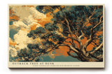 Paul Sinus Wandbild 120x80cm Australischer Outback Baum Dramatische Naturkunst mit Wolkenhimmel fuer moderne Wohnräume