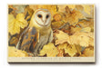 Paul Sinus Wandbild Autumn Guardian of Quiet Fields Golden Owl in Forest of Falling Leaves