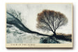 Paul Sinus Wandbild 120x80cm Baum am Meer dramatische Kueste Naturfotografie moderne Landschaft Kunst Wanddekoration fuer Wohnzimmer Büro