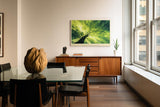 Paul Sinus Wandbild 120x80cm Baum im Licht gruene Naturmalerei moderne Landschaft Kunst Wanddekoration fuer Wohnzimmer Büro