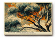 Paul Sinus Wandbild 120x80cm Baum Landschaft Kunst mit Dramatischem Himmel in Orange Blau für Wohnzimmer Büro und Flur