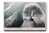 Paul Sinus Wandbild 120x80cm Baum Winter Landschaft schwarz weiss minimalistische Naturfotografie Wanddekoration fuer Wohnzimmer Büro