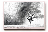 Paul Sinus Wandbild 120x80cm Baum zwischen Licht und Schatten Abstrakte Schwarz Weiss Naturkunst Modernes Motiv für Wohnzimmer Büro Flur