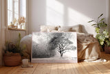 Paul Sinus Wandbild 120x80cm Baum zwischen Licht und Schatten Abstrakte Schwarz Weiss Naturkunst Modernes Motiv für Wohnzimmer Büro Flur