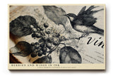 Paul Sinus Wandbild 120x80cm Berries and Wings in Ink Vintage Vogel Illustration mit Beeren Zweigen Natur Kunst Poster für Wohnzimmer Büro