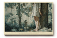 Paul Sinus Wandbild Between Shadow and Tender Light Poetisches Naturmotiv mit einer Frau im Wald, zwischen Licht und Schatten – Symbol für Ruhe und Achtsamkeit.