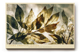 Paul Sinus Wandbild 120x80cm Blaetter im Licht botanische Naturkunst gruene transparente Blaetter moderne Natur Wanddekoration fuer Wohnzimmer Büro