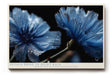 Paul Sinus Wandbild 120x80cm Blaue Blumen Makro mit Wassertropfen elegante florale Naturkunst