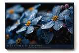 Paul Sinus Wandbild 120x80cm Blaue Blüten mit Regentropfen Makrofotografie Natur Kunst für Wohnzimmer Schlafzimmer Bad