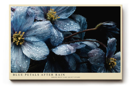Paul Sinus Wandbild 120x80cm Blue Petals After Rain blaue Blumen Makro Fotokunst mit Wassertropfen moderne Natur Poster für Wohnzimmer Schlafzimmer