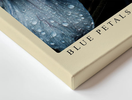 Paul Sinus Wandbild 120x80cm Blue Petals After Rain blaue Blumen Makro Fotokunst mit Wassertropfen moderne Natur Poster für Wohnzimmer Schlafzimmer