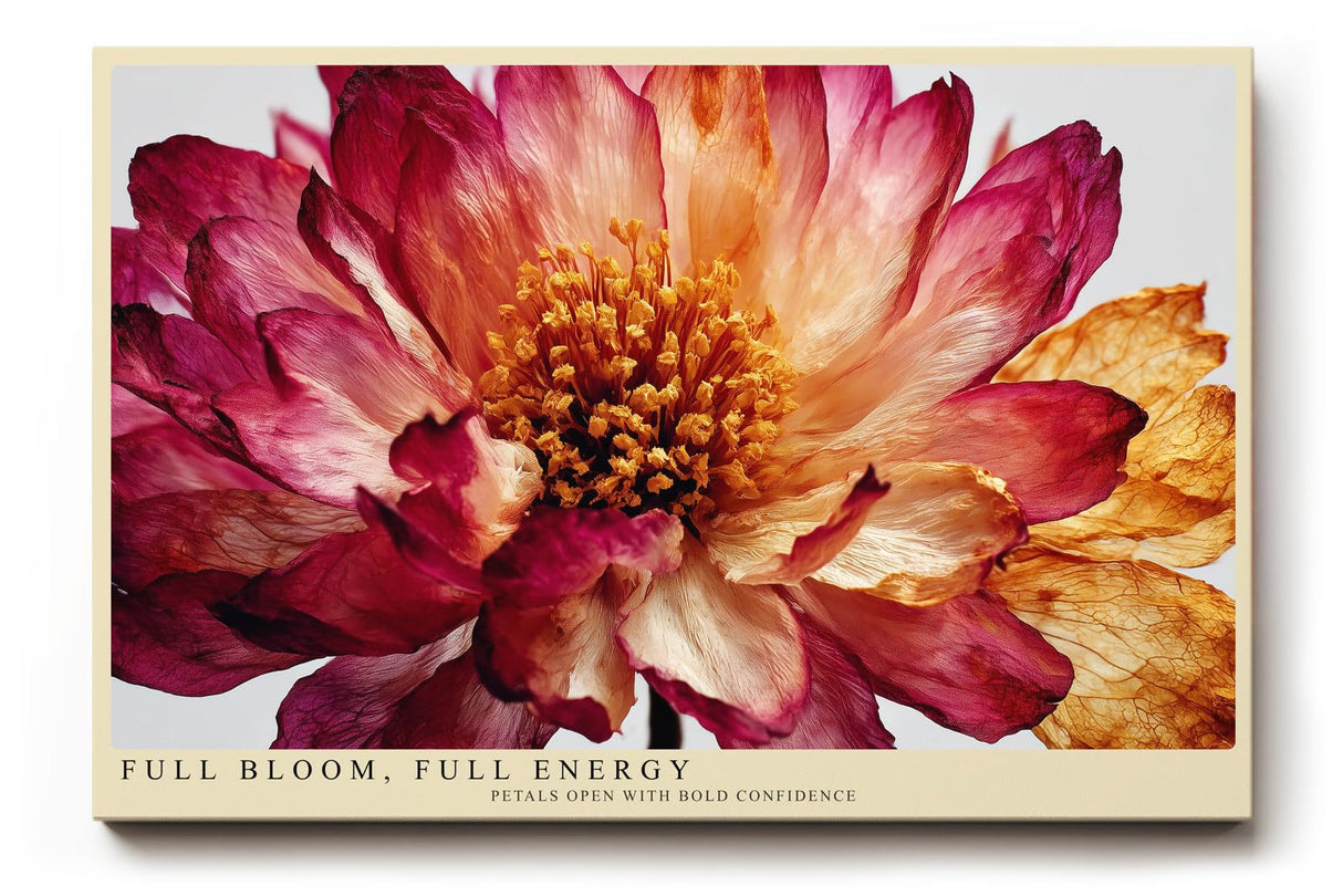 Paul Sinus Wandbild 120x80cm Blumen Makro modern rot beige florale Kunst Kunstdruck grosses Kunstbild elegante Wanddekoration fuer Wohnzimmer Büro Flur