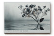 Paul Sinus Wandbild 120x80cm Blüten im Wasser minimalistische Naturkunst zarte Blumen graue ruhige Ästhetik modernes Naturmotiv stilvolle