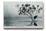 Paul Sinus Wandbild 120x80cm Blüten im Wasser minimalistische Naturkunst zarte Blumen graue ruhige Ästhetik modernes Naturmotiv stilvolle