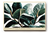 Paul Sinus Wandbild 120x80cm Botanische Blaetter modern Pflanzen Kunst Wanddekoration gruene Natur Wohnzimmer Schlafzimmer