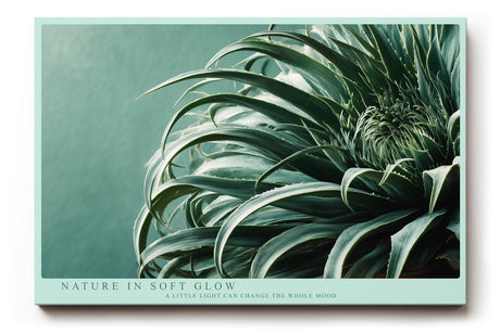 Paul Sinus Wandbild 120x80cm botanische Pflanze Makroaufnahme gruene Blaetter moderne Naturfotografie minimalistische Wanddekoration fuer Wohnzimmer Büro