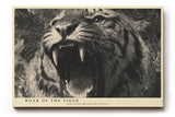 Paul Sinus Wandbild 120x80cm Brüllender Tiger Tierkunst LeinWandbild 120x80cm Kraftvolles Wildtier Motiv Wanddekoration