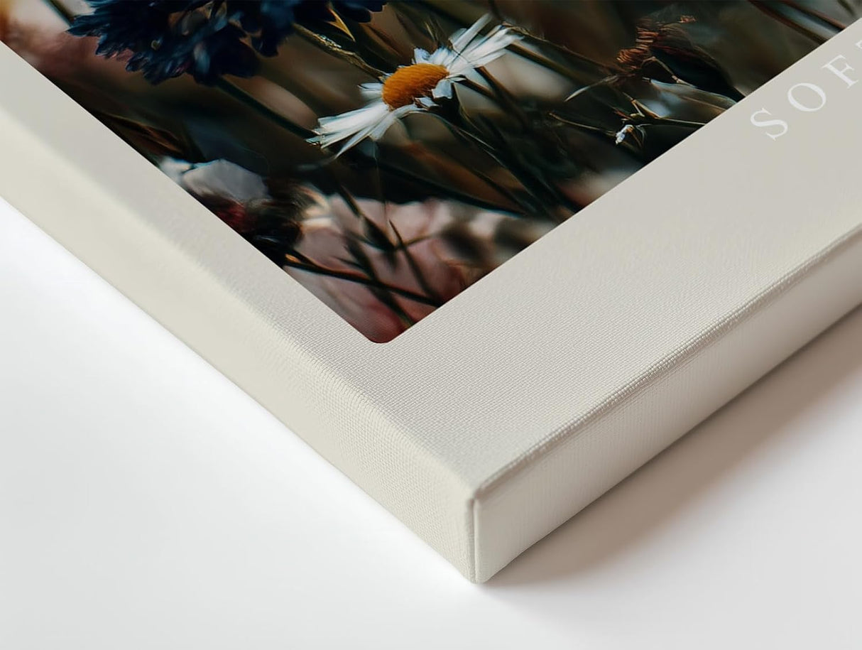 Paul Sinus Wandbild 120x80cm Bunte Wildblumen Wiese romantische Natur Fotografie moderne Blumen Wanddekoration