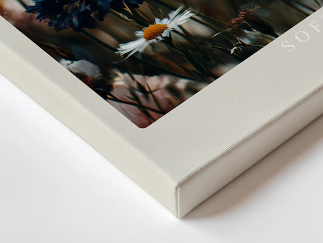Paul Sinus Wandbild 120x80cm Bunte Wildblumen Wiese romantische Natur Fotografie moderne Blumen Wanddekoration