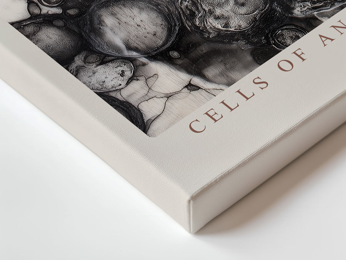 Paul Sinus Wandbild Cells of an Ancient Storm Abstract Black and White Depth of Organic Motion