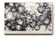 Paul Sinus Wandbild Cells of an Ancient Storm Abstract Black and White Depth of Organic Motion