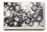 Paul Sinus Wandbild Cells of an Ancient Storm Abstract Black and White Depth of Organic Motion