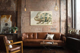 Paul Sinus Wandbild 120x80cm Chamäleon Illustration moderne Tierkunst Naturfarben detailreiches Reptilien Kunstbild stilvolle Wanddekoration für Wohnzimmer Büro Kinderzimmer