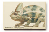 Paul Sinus Wandbild 120x80cm Chamäleon Illustration moderne Tierkunst Naturfarben detailreiches Reptilien Kunstbild stilvolle Wanddekoration für Wohnzimmer Büro Kinderzimmer