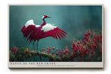 Paul Sinus Wandbild Dance of the Red Crane – Anmut und Freiheit im Einklang der Natur