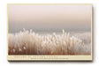 Paul Sinus Wandbild Dreams of Autumn Fields – Sanfte Abendstimmung über herbstlichen Gräsern in warmen Naturtönen, Symbol für Gelassenheit und natürliche Schönheit