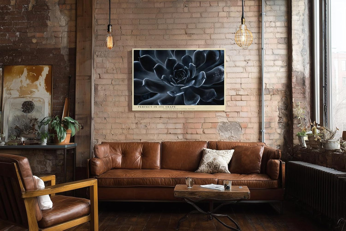 Paul Sinus Wandbild 120x80cm dunkle Sukkulente Makrofotografie moderne Pflanzenkunst elegantes Naturmotiv stilvolle Wanddekoration fuer Wohnzimmer Büro