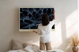 Paul Sinus Wandbild 120x80cm dunkle Sukkulente Makrofotografie moderne Pflanzenkunst elegantes Naturmotiv stilvolle Wanddekoration fuer Wohnzimmer Büro
