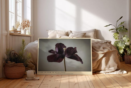 Paul Sinus Wandbild 120x80cm dunkle Tulpe minimalistische Blumenfotografie modern Kunstdruck grosses Wandbild 120x80cm elegante Wanddekoration fuer Wohnzimmer Büro