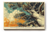 Paul Sinus Wandbild 120x80cm Eukalyptus Baum unter australischem Himmel Atmosphaerische Naturkunst mit warmen Outback Farben