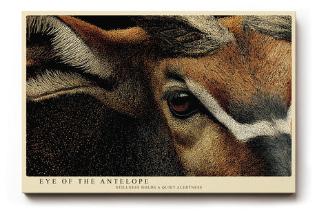 Paul Sinus Wandbild 120x80cm Eye of the Antelope Detailreiches Tierportrait Antilope Natur Kunst fuer Wohnzimmer Büro und Flur