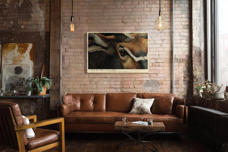 Paul Sinus Wandbild 120x80cm Eye of the Antelope Detailreiches Tierportrait Antilope Natur Kunst fuer Wohnzimmer Büro und Flur