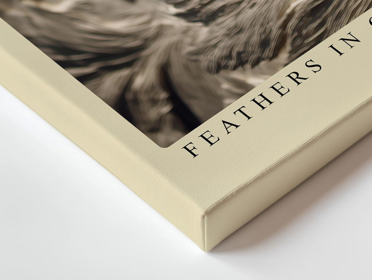 Paul Sinus Wandbild 120x80cm Feathers in Quiet Light elegante Federn Struktur Kunst in warmen Naturtönen Poster für Wohnzimmer Schlafzimmer