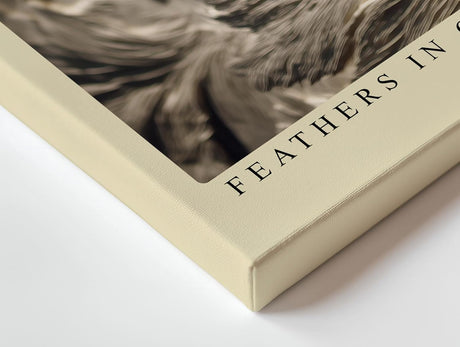 Paul Sinus Wandbild 120x80cm Feathers in Quiet Light elegante Federn Struktur Kunst in warmen Naturtönen Poster für Wohnzimmer Schlafzimmer