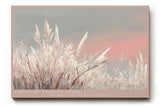 Paul Sinus Wandbild Fields of Evening Light – Abendliche Wiese im warmen Licht