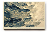 Paul Sinus Wandbild 120x80cm Fischschwarm abstrakte Unterwasser Kunst blau beige moderne Meeresillustration grosses Kunstbild stilvolle Wanddekoration fuer Wohnzimmer Büro Flur