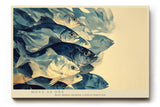 Paul Sinus Wandbild 120x80cm Fischschwarm Unterwasser Kunst moderne Meeresmalerei blau beige Naturfarben stilvolle Wanddekoration fuer Wohnzimmer Büro