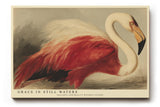 Paul Sinus Wandbild 120x80cm Flamingo Tierkunst modern rot weiss elegante Vogel Malerei Kunstdruck grosses Kunstbild stilvolle Wanddekoration fuer Wohnzimmer Büro Flur