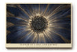 Paul Sinus Wandbild Flower of Light and Energy Radiant Bloom in Gold and Blue Harmony
