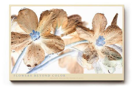 Paul Sinus Wandbild 120x80cm Flowers Beyond Color abstrakte Blumen Makro Kunst in surrealen Farben moderne Natur Fotokunst Poster für Wohnzimmer Schlafzimmer