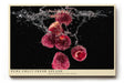 Paul Sinus Wandbild 120x80cm frische Himbeeren im Wassersplash moderne Food Fotografie rotes Frucht Kunstposter auf schwarzem Hintergrund fuer Kueche Esszimmer Bar