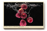 Paul Sinus Wandbild 120x80cm frische Himbeeren im Wassersplash moderne Food Fotografie rotes Frucht Kunstposter auf schwarzem Hintergrund fuer Kueche Esszimmer Bar