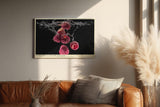 Paul Sinus Wandbild 120x80cm frische Himbeeren im Wassersplash moderne Food Fotografie rotes Frucht Kunstposter auf schwarzem Hintergrund fuer Kueche Esszimmer Bar