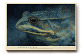 Paul Sinus Wandbild 120x80cm Frosch Portrait mystische Tierkunst blau gold moderne Illustration Wanddekoration fuer Wohnzimmer Büro