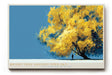 Paul Sinus Wandbild 120x80cm Gelber Baum unter blauem Himmel moderne Natur Illustration stilvolle Landschaft Wanddekoration