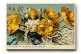 Paul Sinus Wandbild 120x80cm Gelber Blumenstrauss Stillleben Kunst in warmen Naturfarben fuer Wohnzimmer Schlafzimmer und Esszimmer